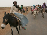 Sudanese Women Ride Donkeys at the Entrance of the Zamzam Refugee Camp Fotografisk tryk