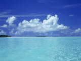 Tropical Scene, Maldives Photographic Print by Volvox 