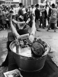 Protesters Sit in Bath Tubs and Read the Satirical Newspaper "Pardon" Photographie