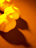 Three Heads of Garlic on Orange Surface Photographic Print