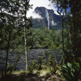 Angel Falls Orinoco Basin Canaima National Park Venezuela Photographie