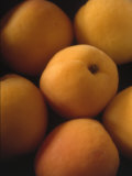 Apricots Photographic Print by David Wasserman