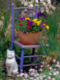 Mixed Flowers and Old Chair, Seattle, Washington, USA Photographic Print by Terry Eggers