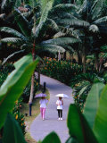Women Walking in Singapore Botanic Gardens, Singapore, Singapore Lámina fotográfica por Phil Weymouth Women Walking in Singapore Botanic Gardens, Singapore, Singapore Lámina fotográfica por Phil Weymouth