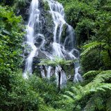 Waterfall Cascading Over Rocks in a Lush Forest Setting Photographie par David Pluth