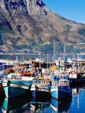 Fishing Boats in Hout Bay Marina, Cape Town, South Africa Photographic Print by Pershouse Craig