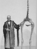 Sir Richard Owen Poses Beside the Skeleton of a Moa Lámina fotográfica