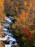 Mountain Stream in Autumn, Vindelfjallen Nature Reserve, Sweden Photographic Print by Christer Fredriksson