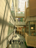 Shopping Centre in Roppongi Hills, Tokyo, Japan Photographic Print by Greg Elms