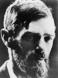 D H Lawrence English Novelist Photographic Print