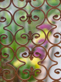 Garden Detail on Via Tiberio, Capri, Bay of Naples, Campania, Italy Photographic Print by Walter Bibikow