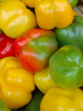 Peppers at Open-Air Market, Lake Maggiore, Arona, Italy Photographic Print by Lisa S. Engelbrecht