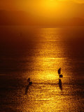 Boats at Sunset, Whitsunday Islands National Park, Australia Photographic Print by Richard I'Anson