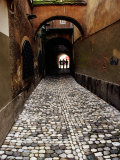 Pedestrians on Cobbled Lane off Ribji Square, Ljubljana, Slovenia Photographic Print by Richard I'Anson
