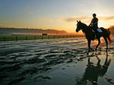 An Unidentified Horse and Rider on the Track at Belmont Park in Elmont, New York, June 9, 2006 Fotografisk trykk av Ed Betz