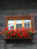 Window Box with Flowers, Zermatt, Switzerland Photographic Print by Lisa S. Engelbrecht
