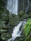 A Waterfall in El Yunque, Puerto Rico Photographic Print by Taylor S. Kennedy