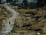 Walking the Ancient Inca Road Outside the Pilgrimage Town of Copacabana, Lake Titicaca, Bolivia Photographie par Kenneth Garrett