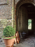 View Through Barn Doorway Buxus in Container Small Pots, Rake Lámina fotográfica por Sunniva Harte