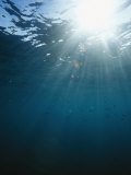 Rays of Sunlight Beaming Through Clear Water with Small Fish Nearby Photographic Print by Bill Curtsinger