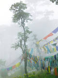 Praying Flags in the Dochula Pass, Between Wangdi and Thimphu, Bhutan Photographic Print by Keren Su
