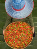 Farmer Selling Chilies, Isan region, Thailand Photographic Print by Gavriel Jecan