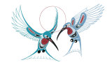 Colibrís Edición limitada por Richard Shorty