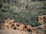 Oasis in Morocco Print by Michael Brown