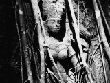 Divinity, Carved Stone from the Temple Ta Prohm and Angkor in Cambogia Photographie
