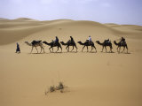 Camels in Caravan Walking in Desert, Morocco, Photographic Print