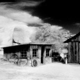 Desert Queen Ranch, Joshua Tree National Park, California, USA Photographic Print by Janell Davidson