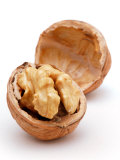 Juglans (Californian Walnut), Close-up of Single Open Nut Fotoprint van Susie Mccaffrey Juglans (Californian Walnut), Close-up of Single Open Nut Fotoprint van Susie Mccaffrey