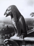 Statue Depicting a Fantastic Eagle on the Exterior of the Cathedral of Notre-Dame, Paris Photographie