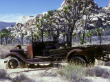 Old Truck in the Harsh Desert of Joshua Tree National Park, California, USA Lámina fotográfica por Janis Miglavs