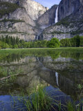 Yosemite Falls, California, USA Photographie par Roy Toft