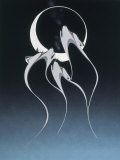 Eclipse With Wolf Spirit Limitierte Auflage von Rick Beaver