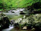 Summer Scene Along West Prong of Little River, USA Photographic Print by Willard Clay