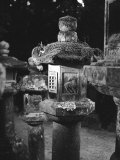 Nara: Stone Lanterns (Ishi-Doro) Photographic Print
