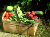 Fruit and Vegetables from the Garden, Kent Photographic Print by David Tipling