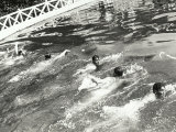 Swimming Race Photographic Print