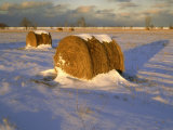 Field of Hay Rolls in Winter, Michigan, USA Photographic Print by Willard Clay
