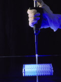 Tissue Culture, Micro-Pipette & Well Plate (Simulation) Photographic Print by David M. Dennis