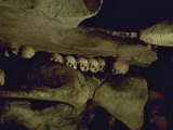 Lines of Skulls in Cave, Indonesia Poster by Michael Brown