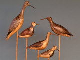 Shore Bird Decoys, USA Photographic Print by Gavriel Jecan