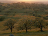 Rolling Foothills of the Sierra Nevada Spotted with Oak Trees near Bakersfield, California Photographic Print by Phil Schermeister