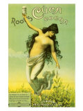 Root's Cuca Cocoa Impressão de alta qualidade