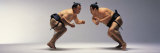 Sumo Wrestlers Japan Photographic Print by Panoramic Images 
