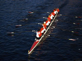 Crew Boat at Head of Charles Regatta Photographic Print
