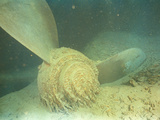 Starboard Propeller of the R.M.S. "Titanic" Broken Off When the Ship Hit Bottom Photographie par Emory Kristof
