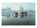 Taj Mahal Poster